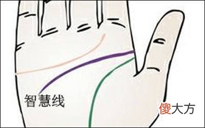 智慧线横线长代表着什么？
