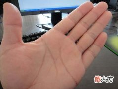 什么是人字掌
