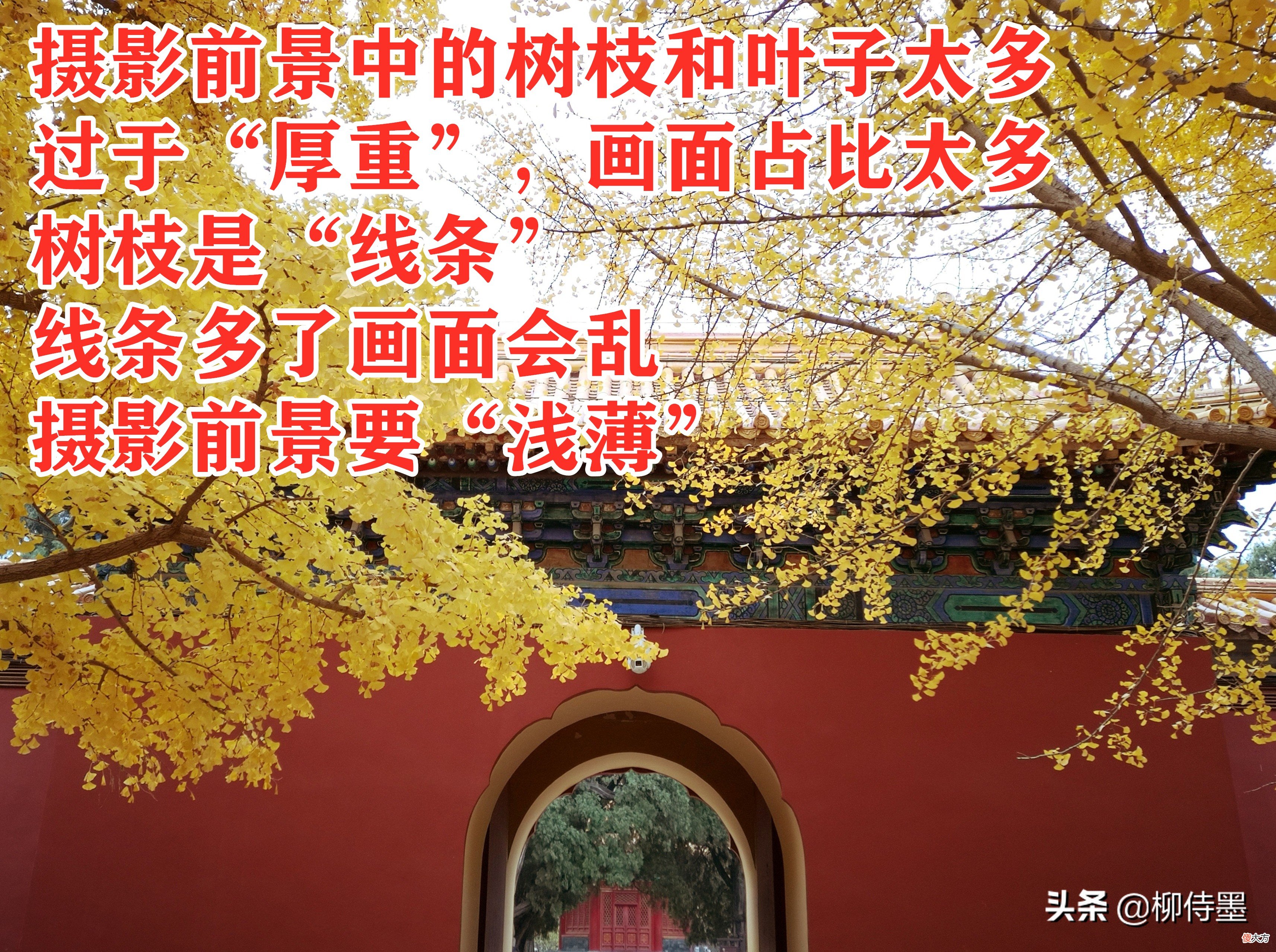 用手机和相机拍摄秋色 如何用手机拍秋天的景色