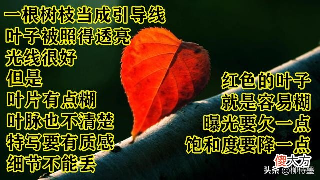 摄影小技巧效果大改变 摄影表现技巧