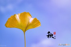 摄影小技巧效果大改变 摄影表现技巧