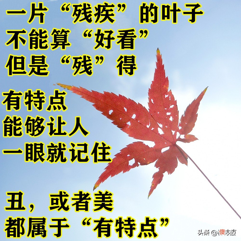 摄影小技巧效果大改变 摄影表现技巧