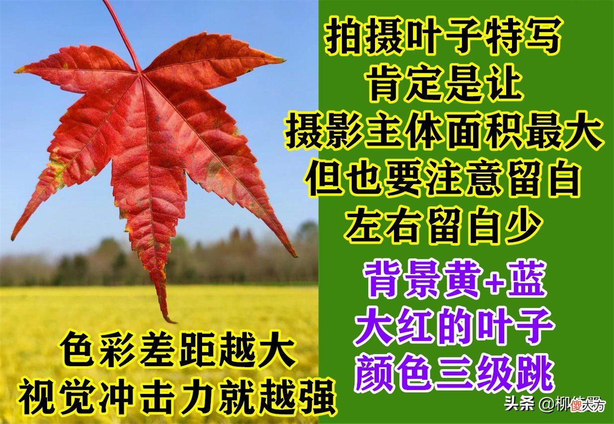 摄影小技巧效果大改变 摄影表现技巧