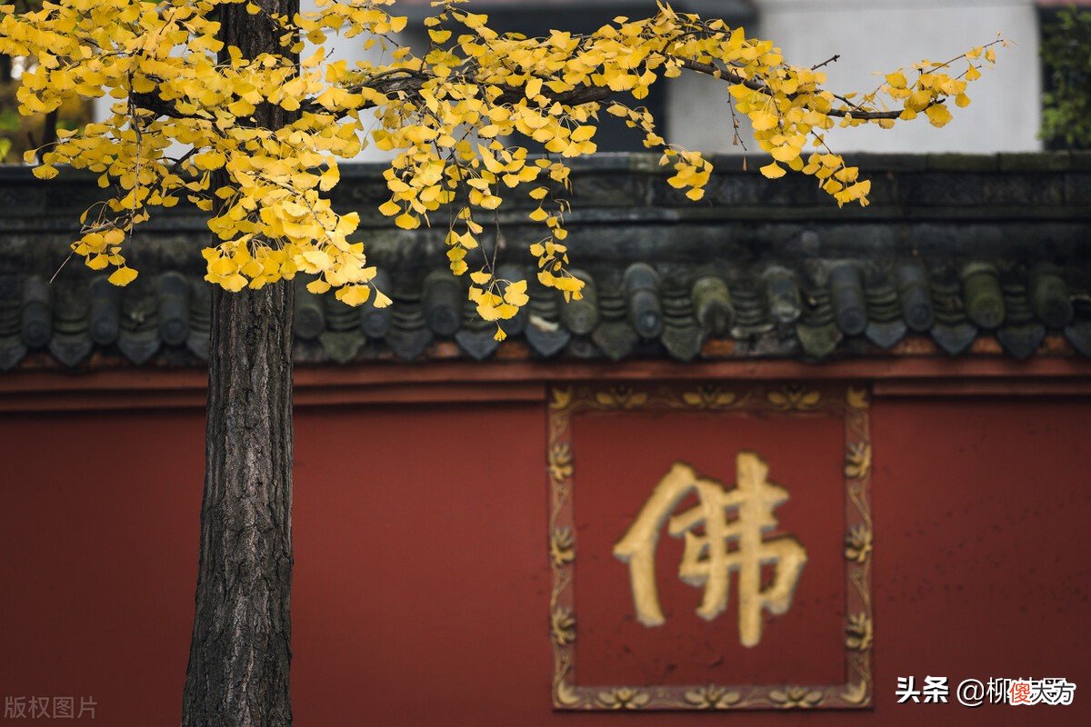 摄影小技巧效果大改变 摄影表现技巧