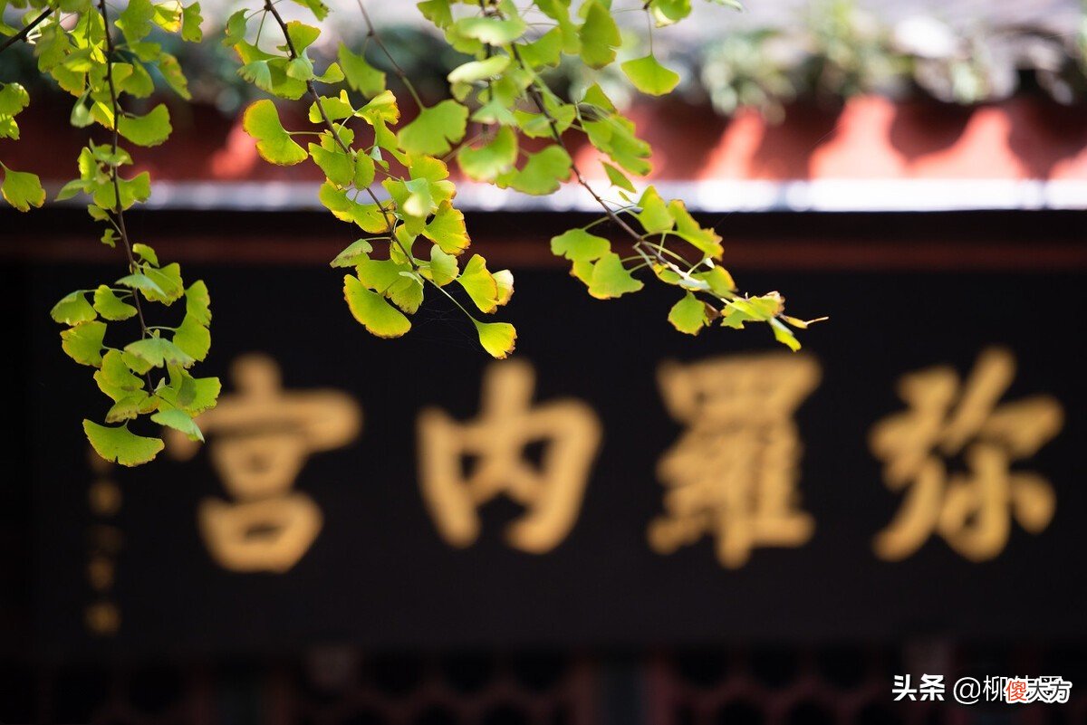 摄影小技巧效果大改变 摄影表现技巧