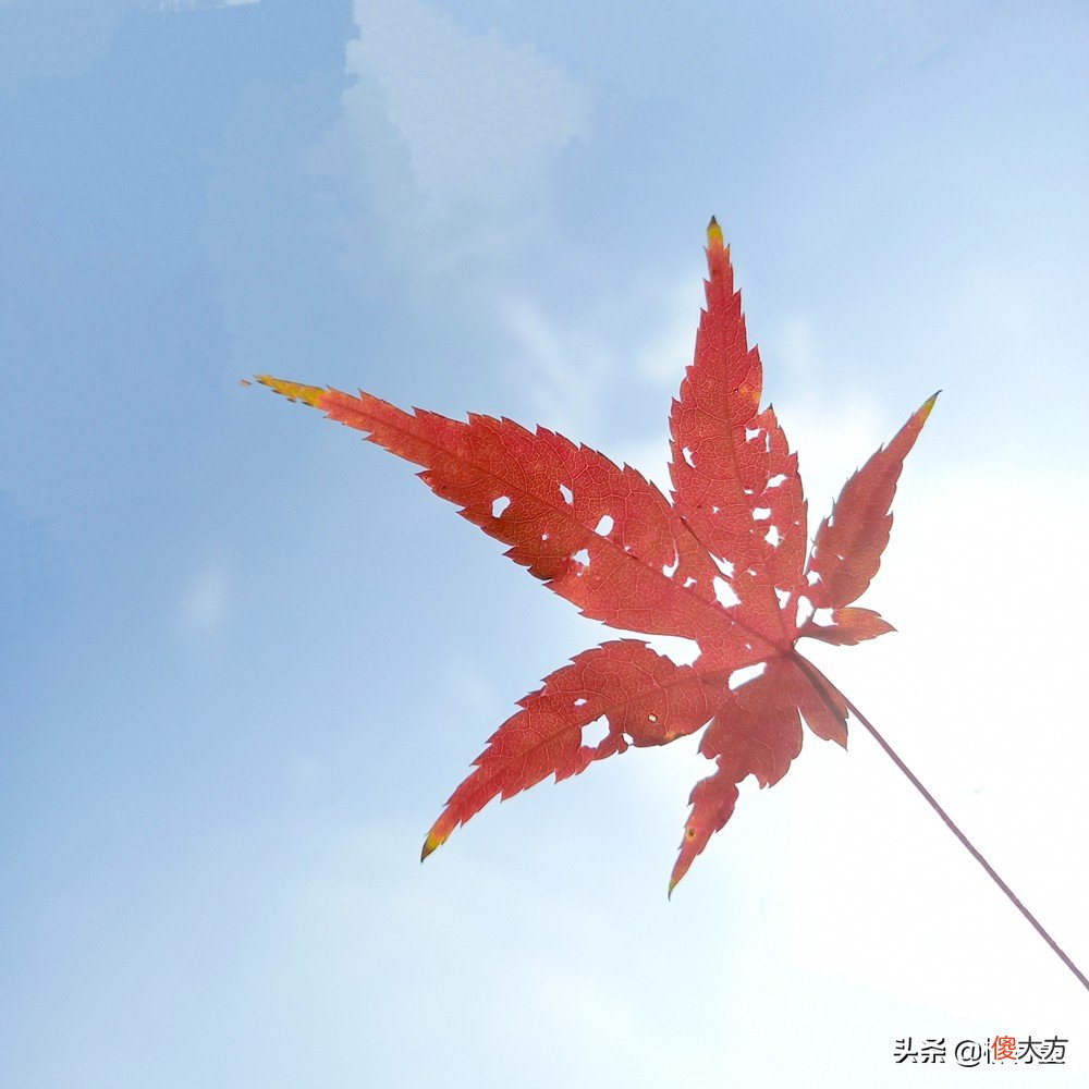 摄影小技巧效果大改变 摄影表现技巧