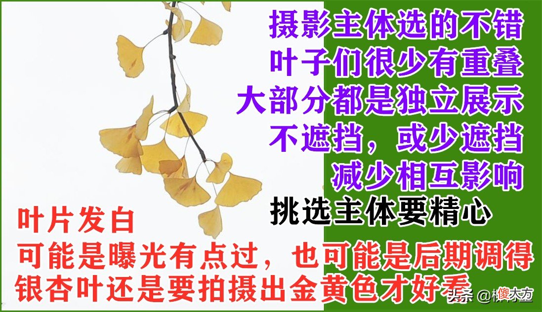 摄影小技巧效果大改变 摄影表现技巧