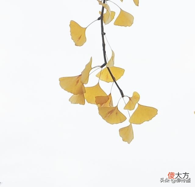 摄影小技巧效果大改变 摄影表现技巧