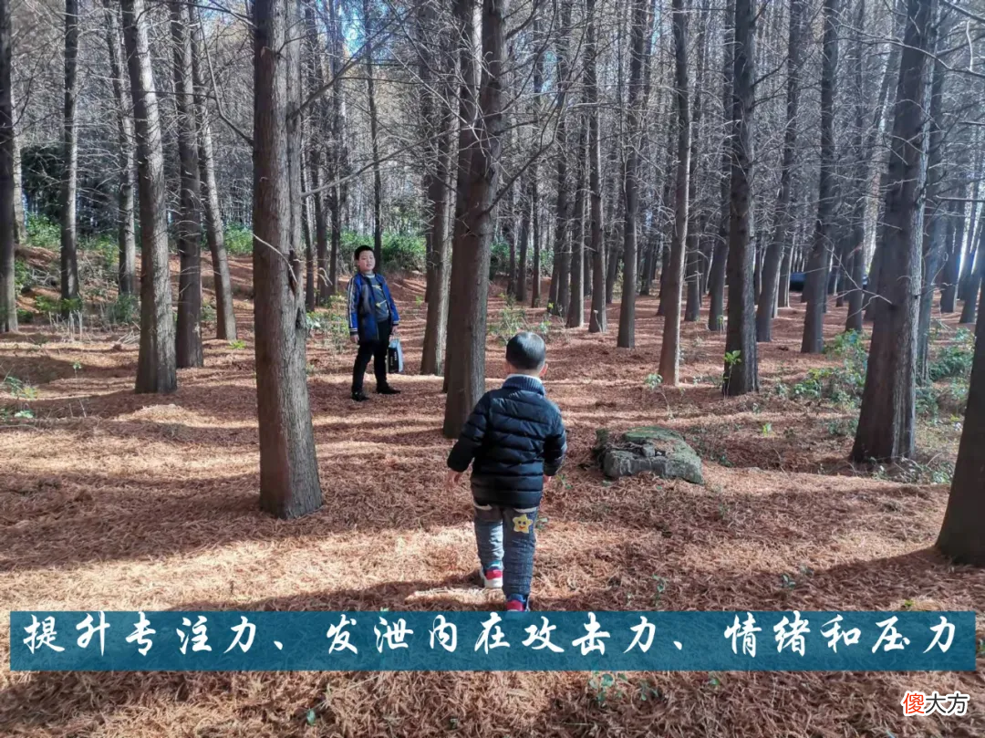 训练专注力的疯跑游戏 专注力训练游戏图片