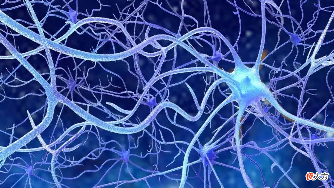 训练专注力的疯跑游戏 专注力训练游戏图片