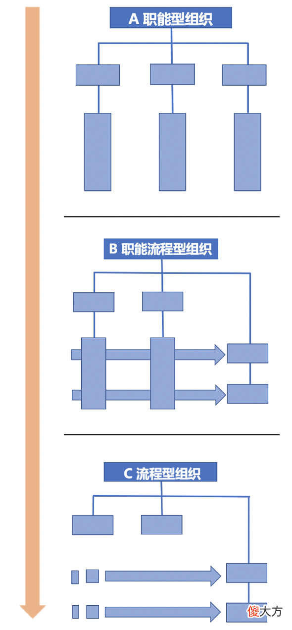 职能式组织和流程型组织的优势与不足 职能型组织与流程型组织