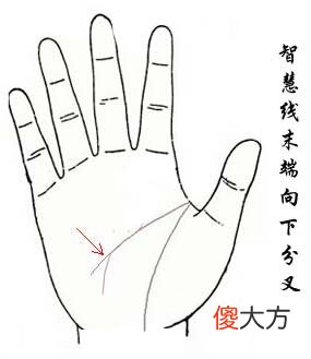 智慧线末端分叉图解