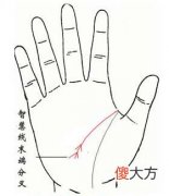 智慧线末端分叉图解