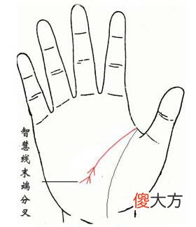 智慧线末端分叉图解