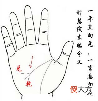 智慧线末端分叉图解