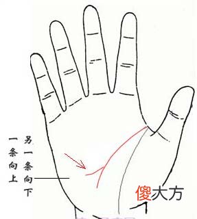 智慧线末端分叉图解