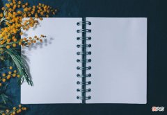 我们为什么还要读诗词 今天我们为什么还要读诗词