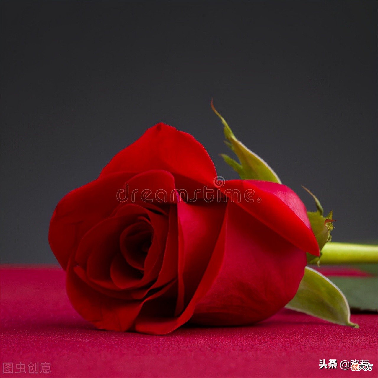 人们为什么喜欢诗歌与美文 为什么有的人喜欢诗