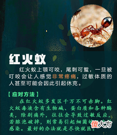 新浪微博| 微博热搜榜排名今日5.3 微博热搜榜今日事件5月3日