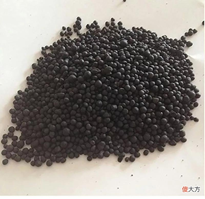微生物肥使用要注意什么 微生物肥料施用需注意哪些问题