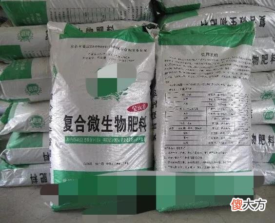 微生物肥使用要注意什么 微生物肥料施用需注意哪些问题