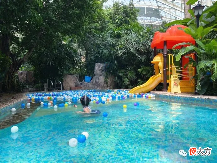 这些适合带娃泡的亲子温泉 适合带孩子去的温泉
