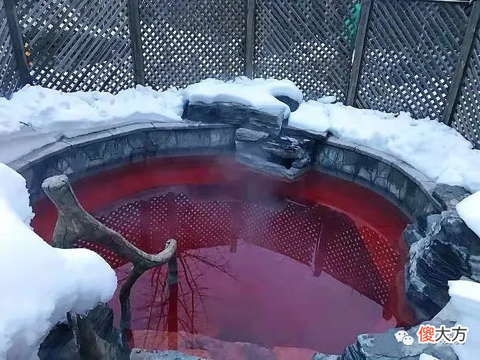 这些适合带娃泡的亲子温泉 适合带孩子去的温泉