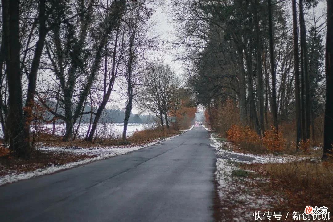 【星座控】2022年，桃花运缠身，兜兜转转，前任倒追，旧情复燃的三个生肖