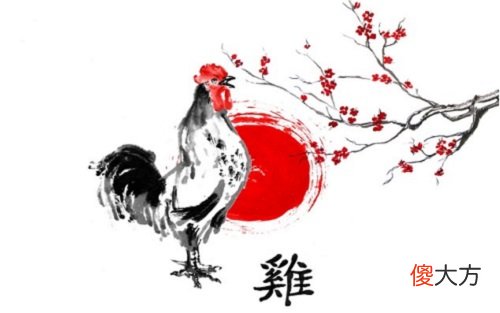 男属鸡的属相婚配表大全