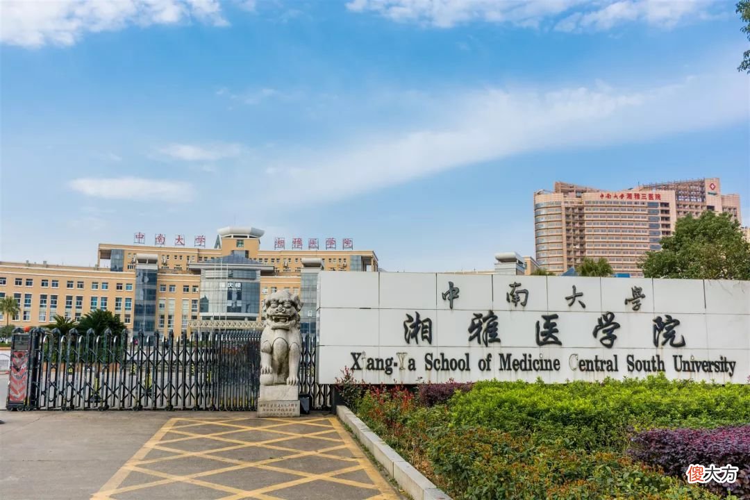 中南大学与湖南大学谁是湖南省第一高校 中南大学还是湖南大学
