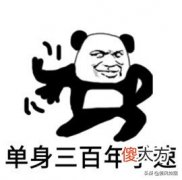 试试这3款拍照贼强的手机 拍照最强手机