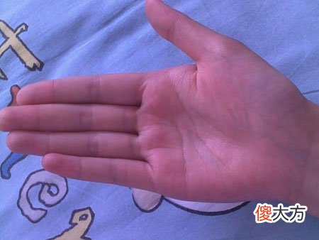 智慧线和感情线相连的手相图解