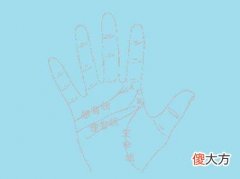感情线看谁最重情义