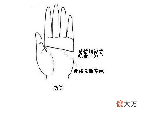 男人断掌手相图解