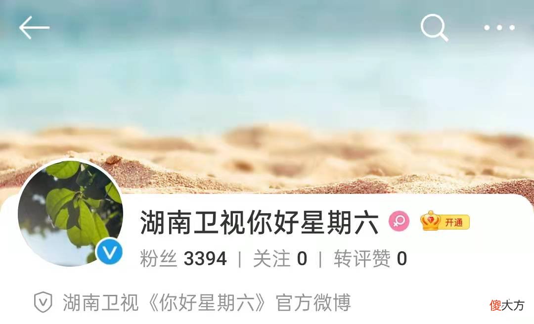 齐刘海小猫有多可爱 齐刘海小猫咪