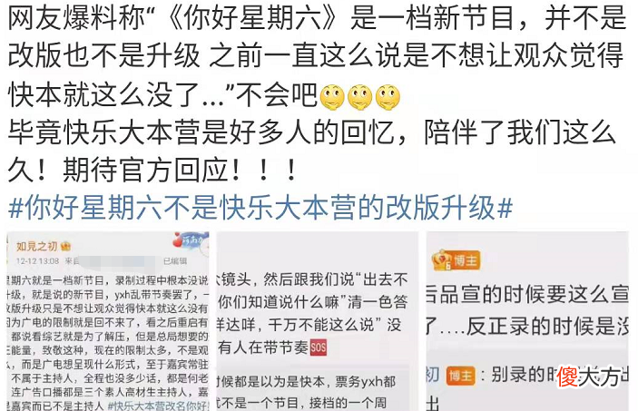 齐刘海小猫有多可爱 齐刘海小猫咪