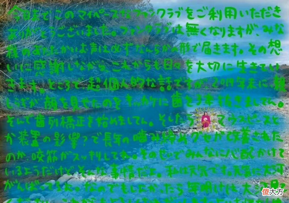 齐刘海小猫有多可爱 齐刘海小猫咪