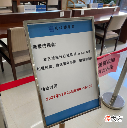 齐刘海小猫有多可爱 齐刘海小猫咪