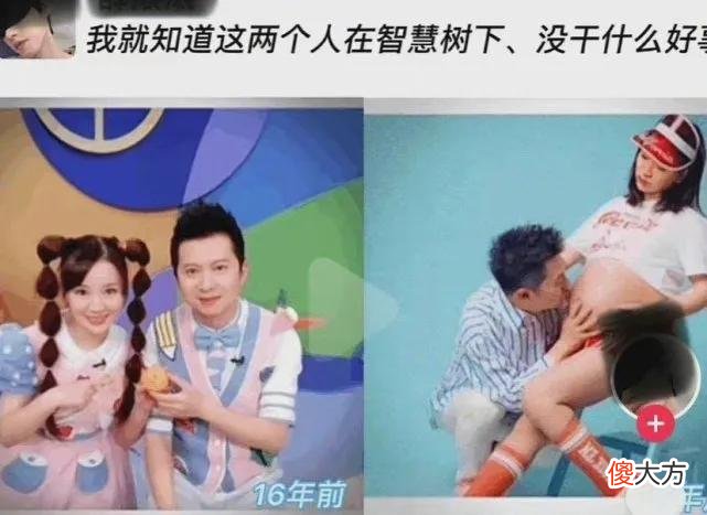 齐刘海小猫有多可爱 齐刘海小猫咪