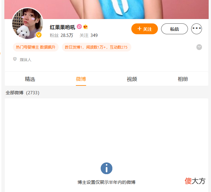齐刘海小猫有多可爱 齐刘海小猫咪