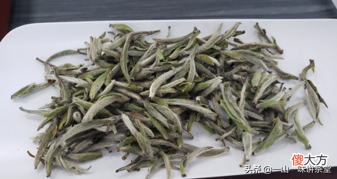 三伏炎夏喝什么茶 夏天三伏喝什么茶好