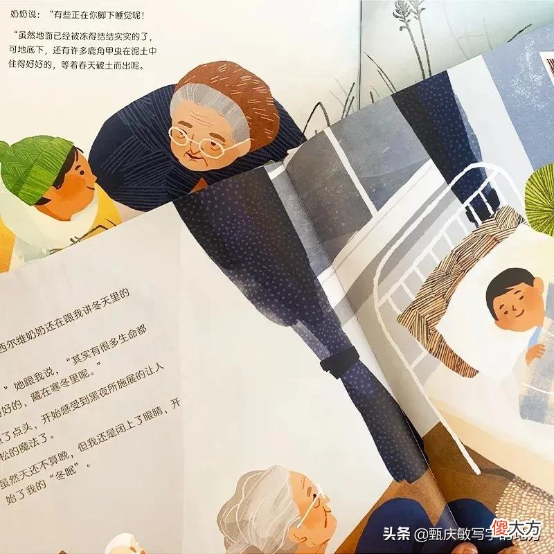 动物的冬眠图鉴 各种动物冬眠图片