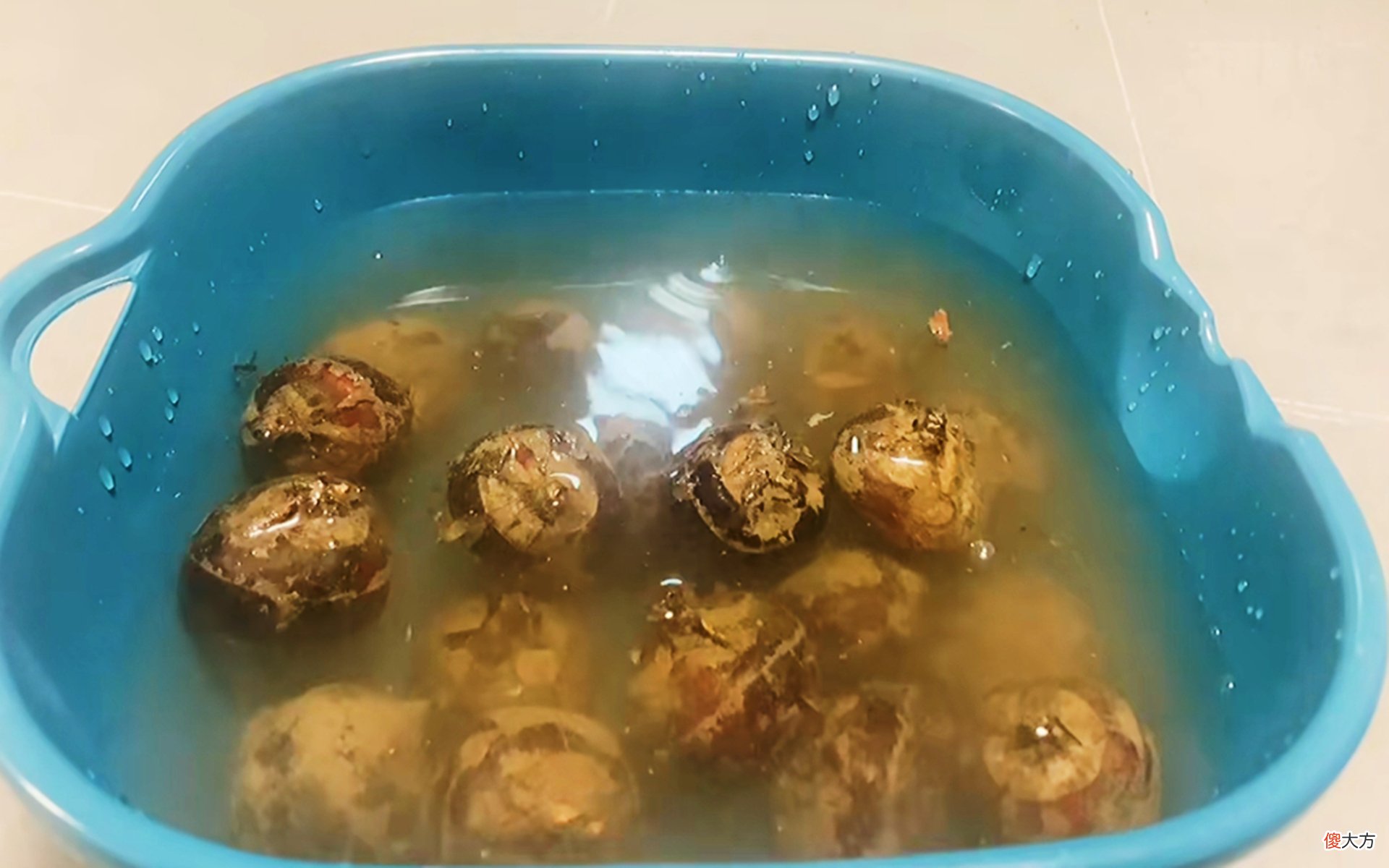 马蹄去皮太简单了 马蹄去皮这么简单