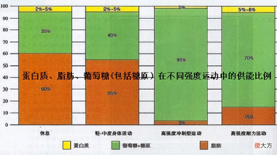 健身时为什么要先做无氧运动再做有氧运动 为什么健身需要进行无氧运动