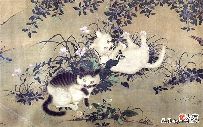 从猫咪在古代的名字可知 猫咪在古代的名字
