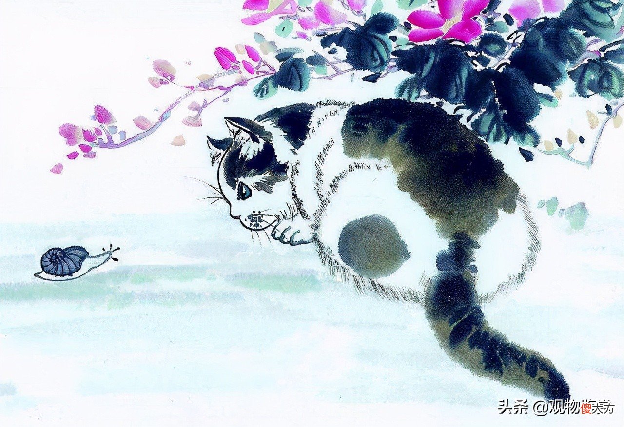 从猫咪在古代的名字可知 猫咪在古代的名字