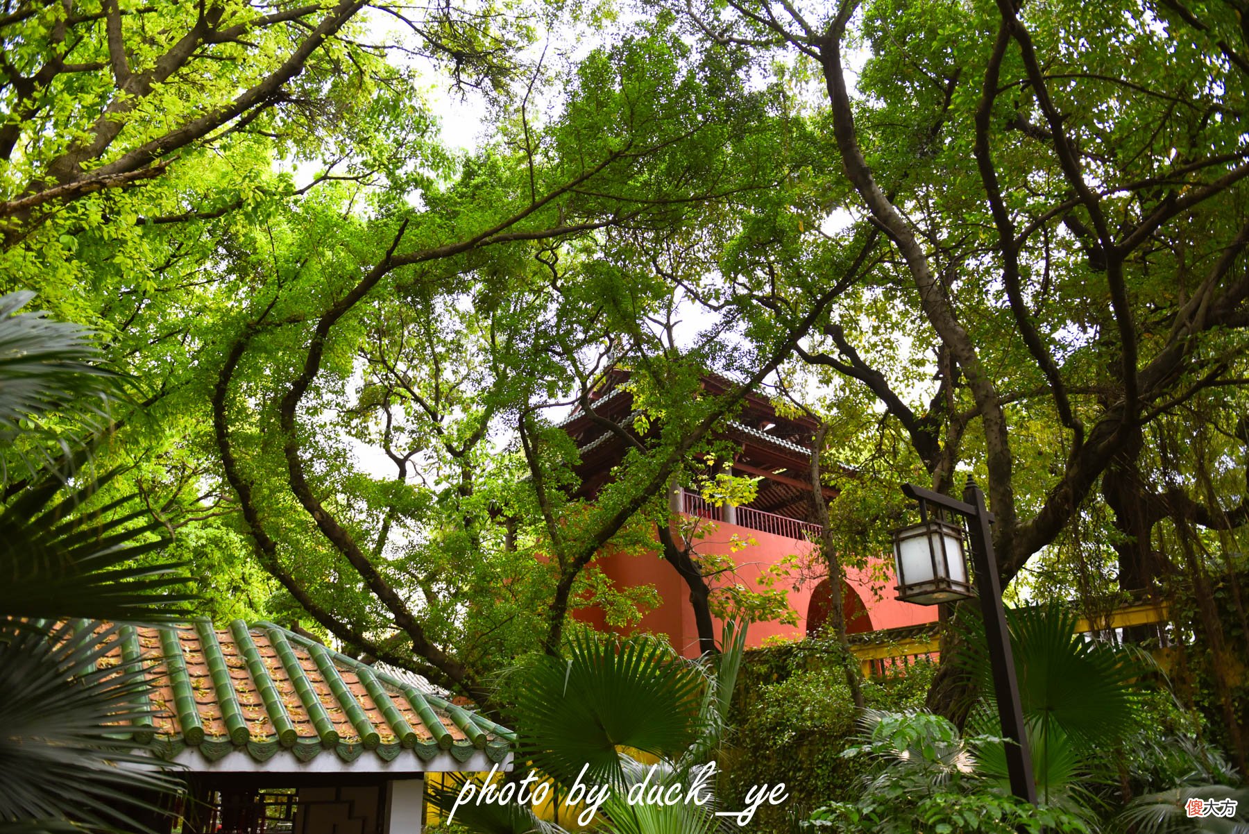 广州低调古观竟是羊城别名起源之处 广州的别称是羊城