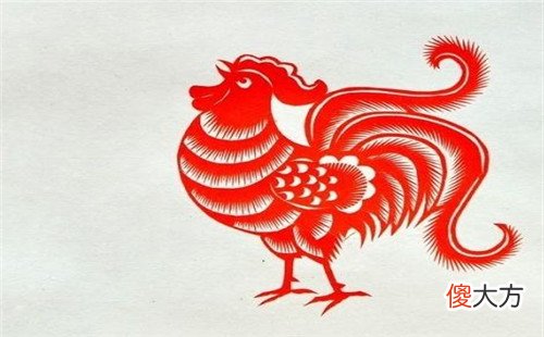 属鸡人的一生命运