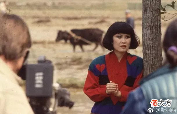 在春晚了20年 春晚多少年了