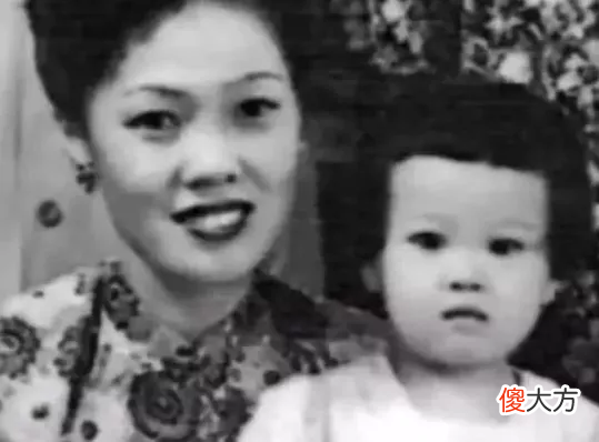 在春晚了20年 春晚多少年了
